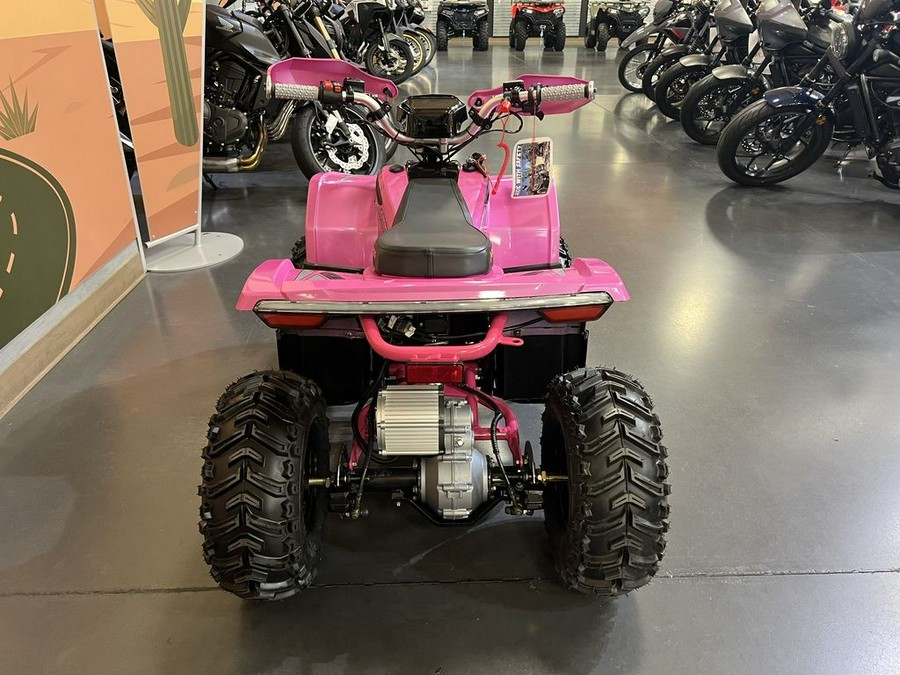 2026 Denago Powersports E-Hawk 6