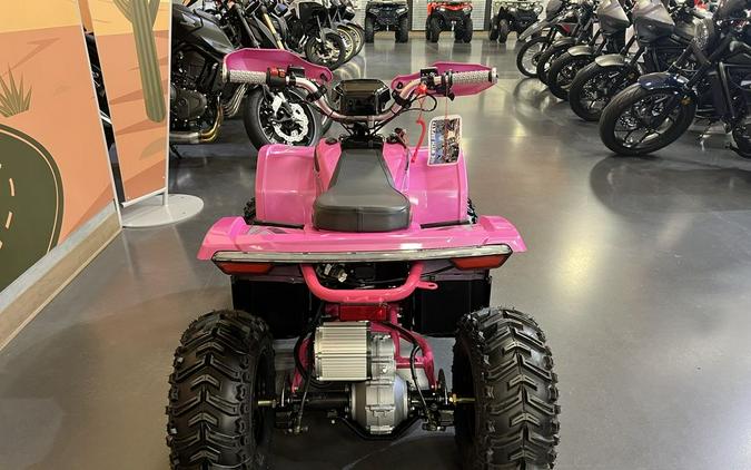 2026 Denago Powersports E-Hawk 6