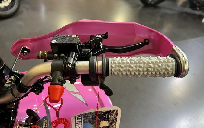 2026 Denago Powersports E-Hawk 6