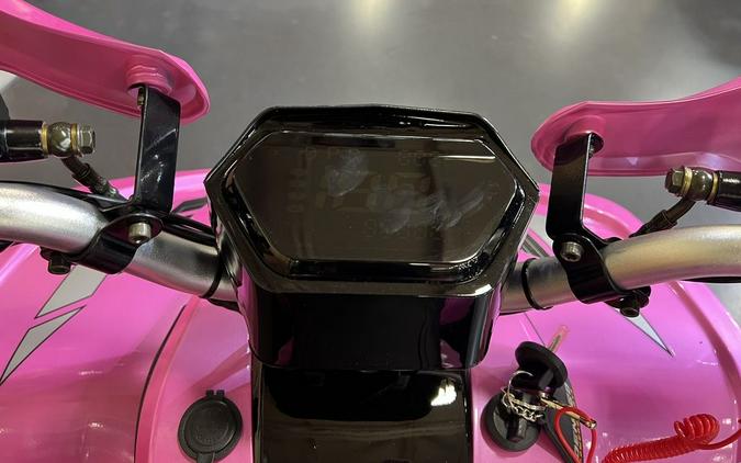 2026 Denago Powersports E-Hawk 6