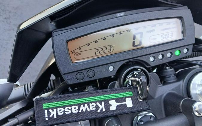 2023 Kawasaki KLX®300 Fragment Camo Gray