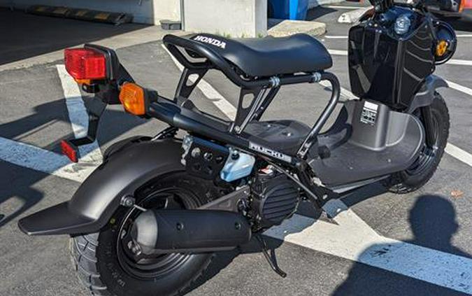 2024 Honda Ruckus