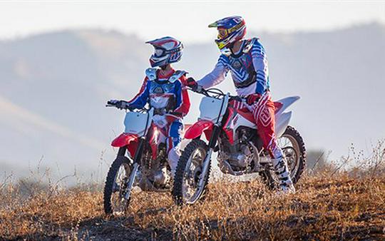 2017 Honda CRF230F