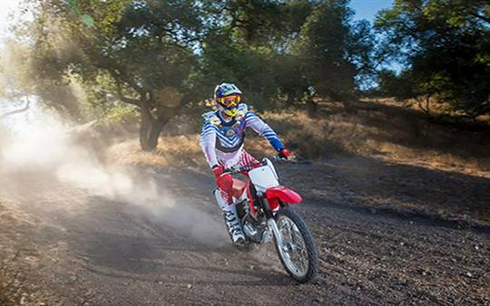 2017 Honda CRF230F