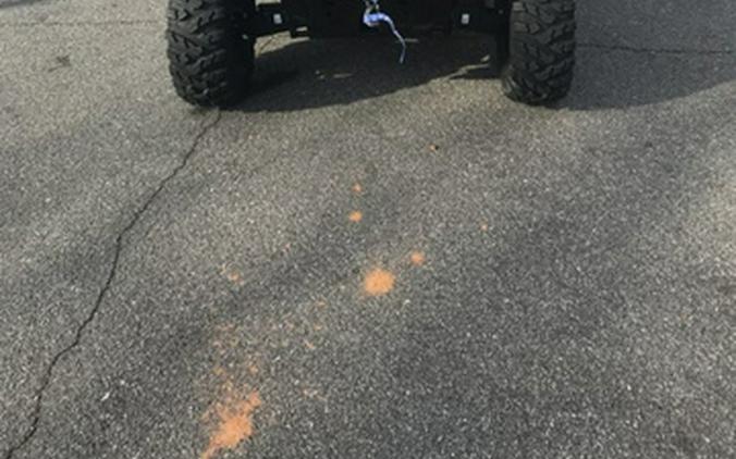 2026 Polaris Ranger XP 1000 Premium Blue Labyrinth