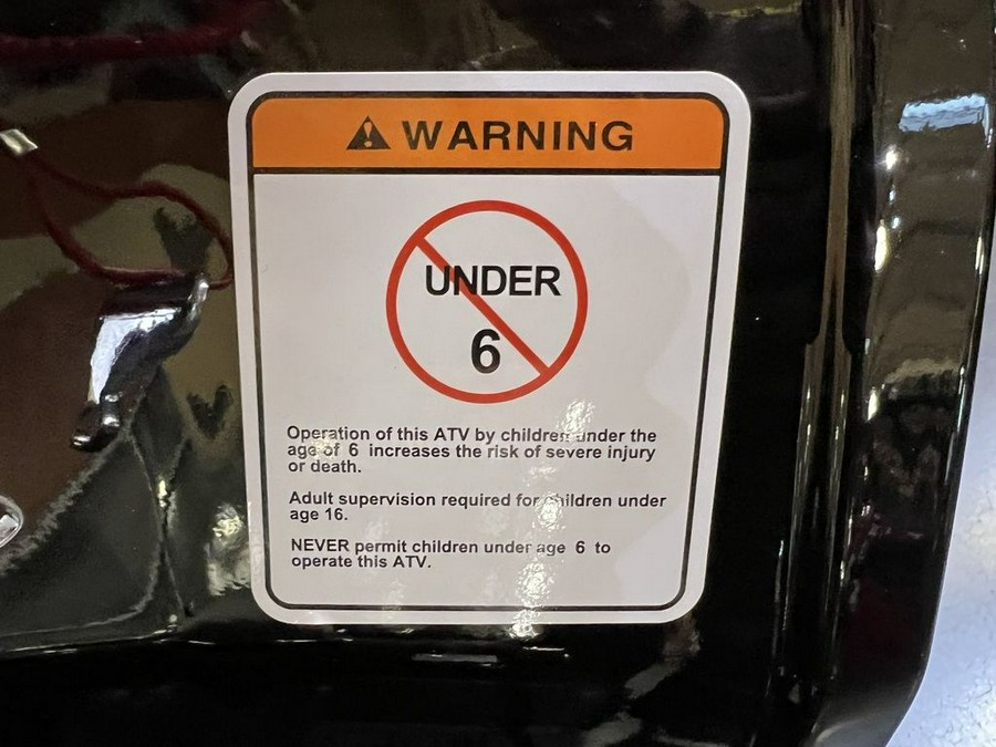 2026 Denago Powersports E-Hawk 6