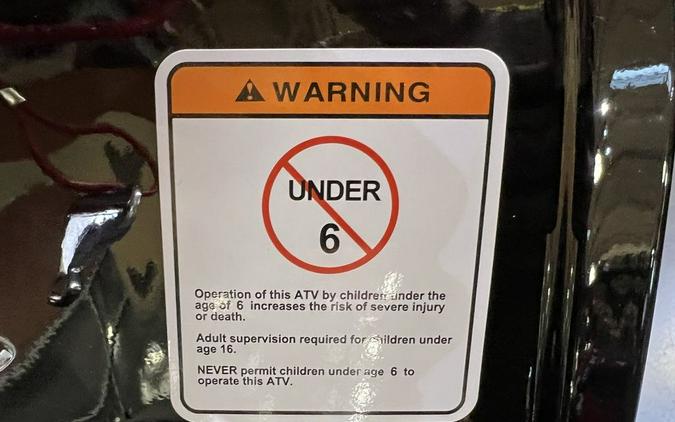 2026 Denago Powersports E-Hawk 6