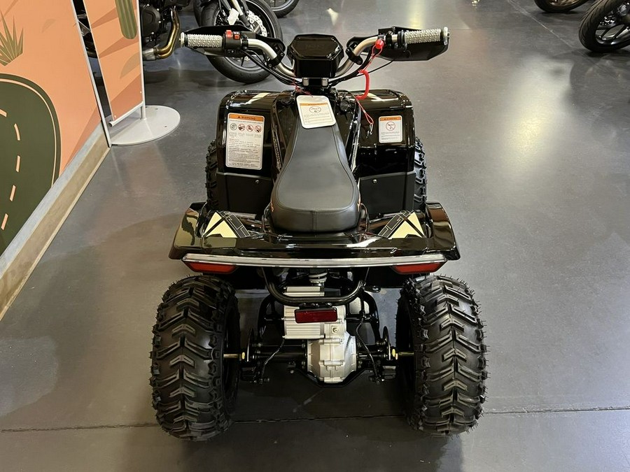 2026 Denago Powersports E-Hawk 6