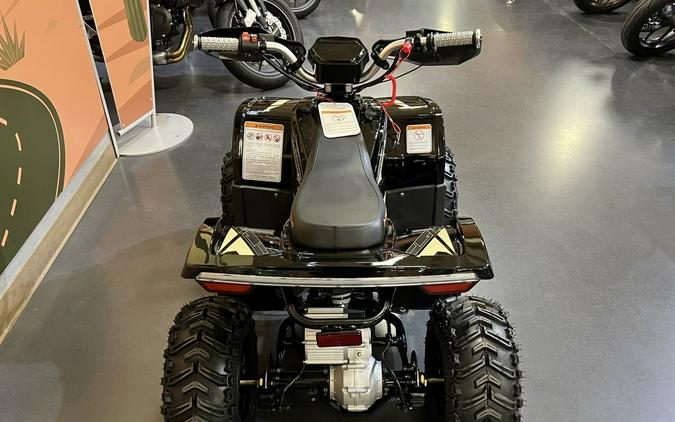 2026 Denago Powersports E-Hawk 6