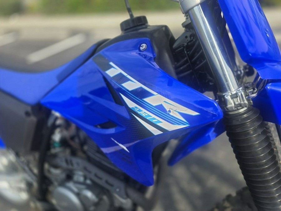 2025 Yamaha TT-R 230