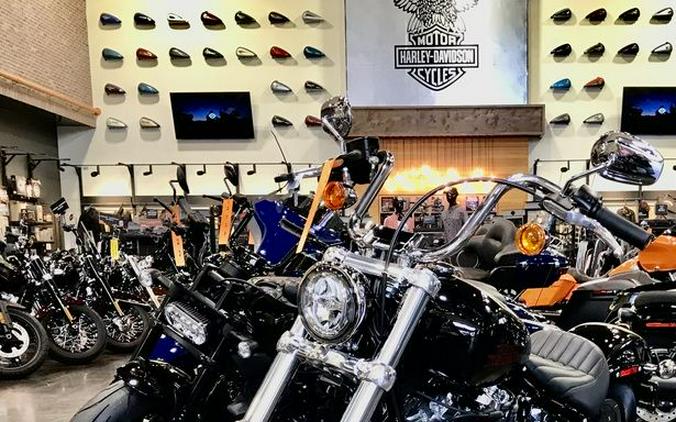 2023 Harley-Davidson® FXST - Softail® Standard