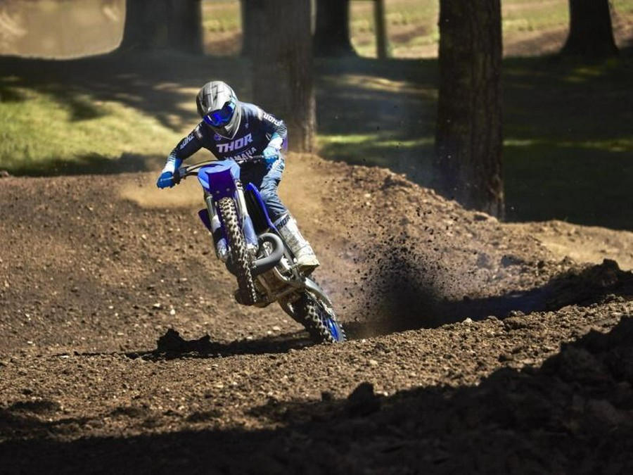 2024 Yamaha YZ250 Team Yamaha Blue