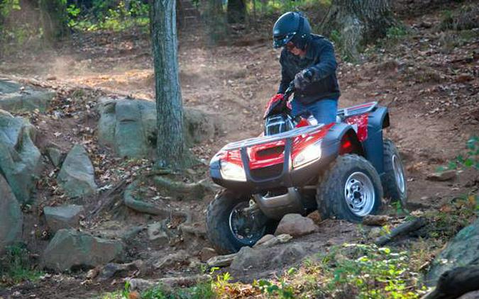 2018 Honda FourTrax Rincon