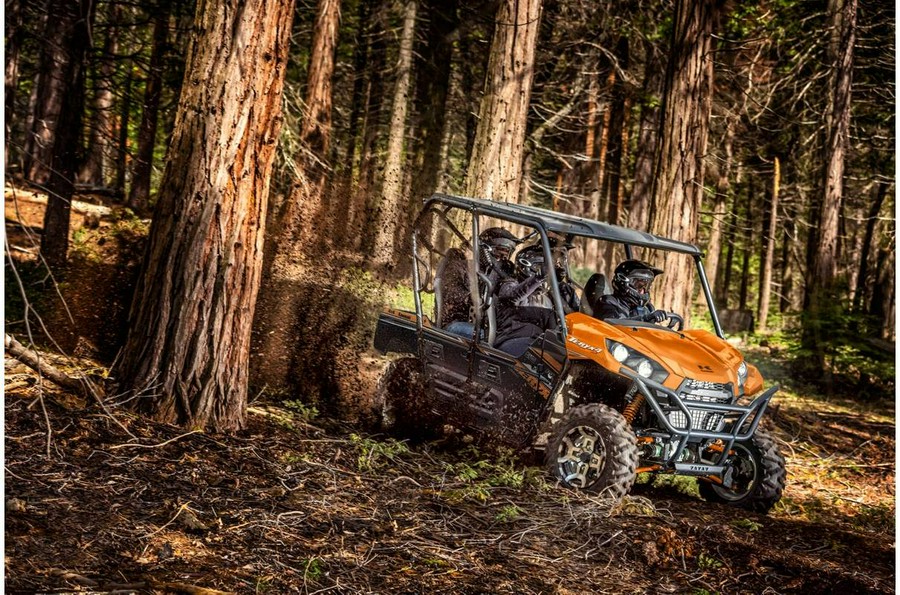 2019 Kawasaki Teryx4™ LE