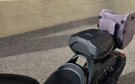 2021 Can-Am Ryker 900 ACE