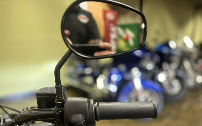 XG500 2018 Harley-Davidson Street® 500