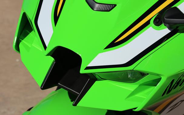 2025 KAWASAKI NINJA ZX10R