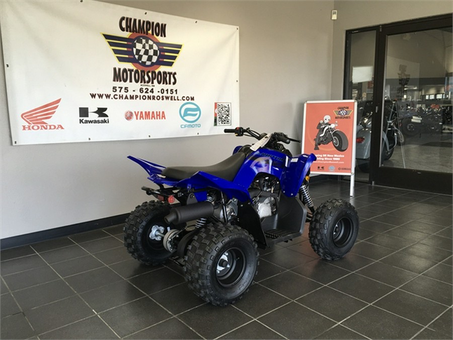 2025 Yamaha Raptor 110