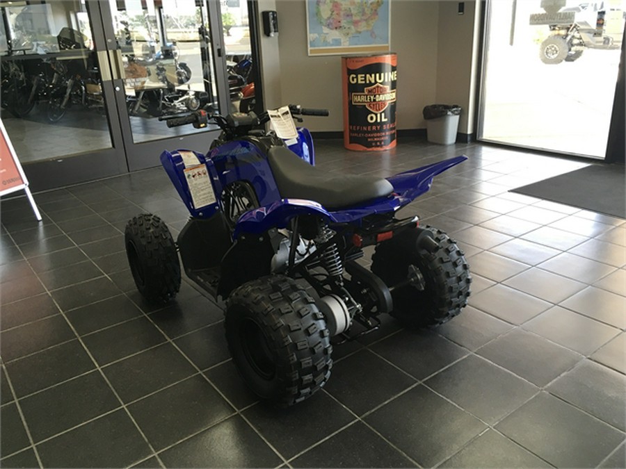 2025 Yamaha Raptor 110