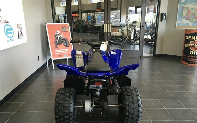 2025 Yamaha Raptor 110