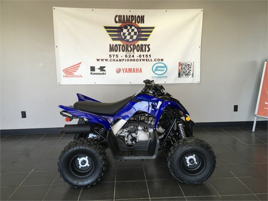 2025 Yamaha Raptor 110