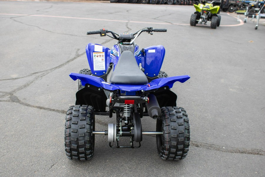 2026 YAMAHA RAPTOR 110