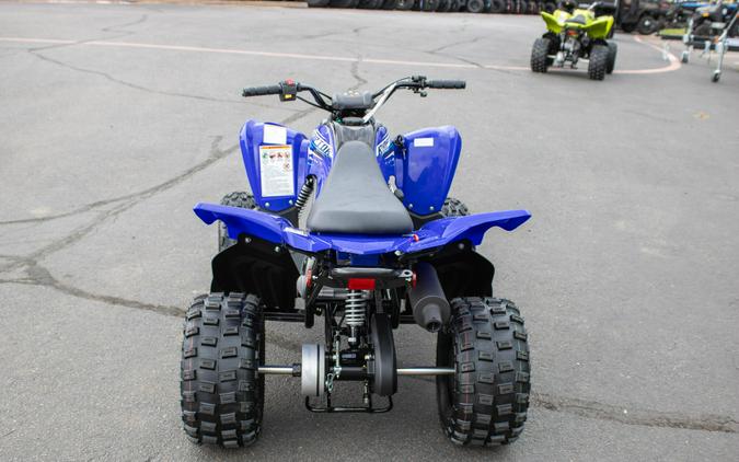2026 YAMAHA RAPTOR 110