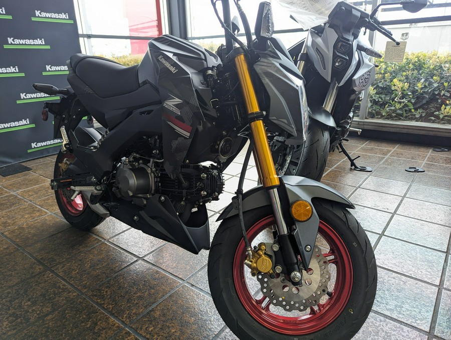 2024 Kawasaki Z125 Pro