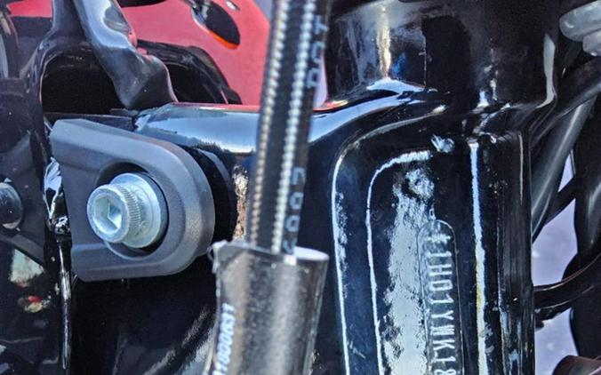 2021 Harley-Davidson Low Rider®S