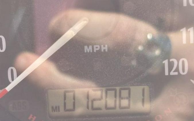 2015 Harley-Davidson® XL1200X - Sportster® Forty-Eight®