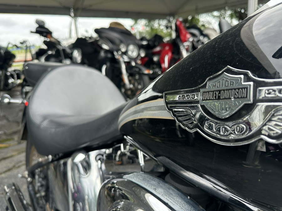 2003 Harley-Davidson FLSTF/FLSTFI Fat Boy®