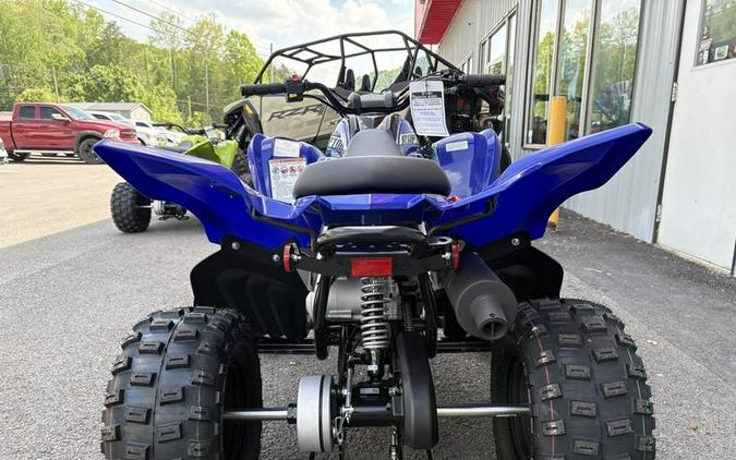 2026 Yamaha Raptor 110