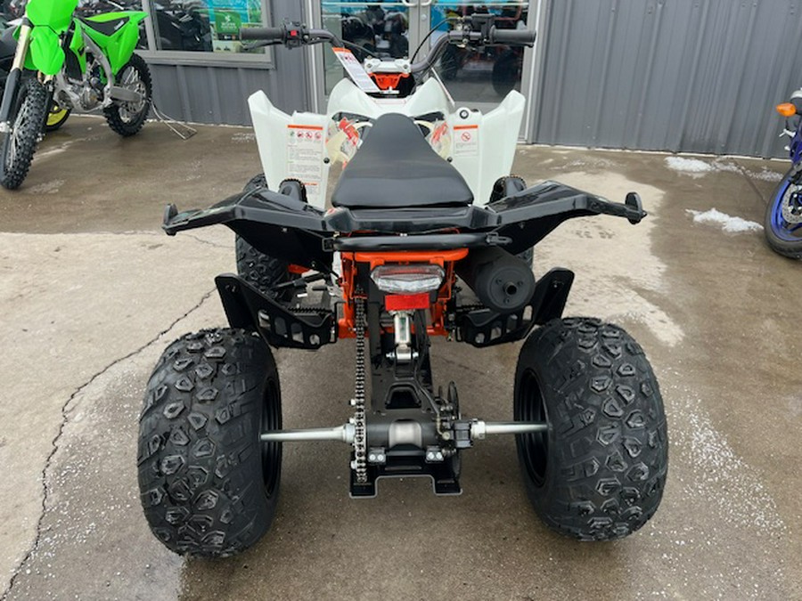 2021 Jackal 200 - Kayo