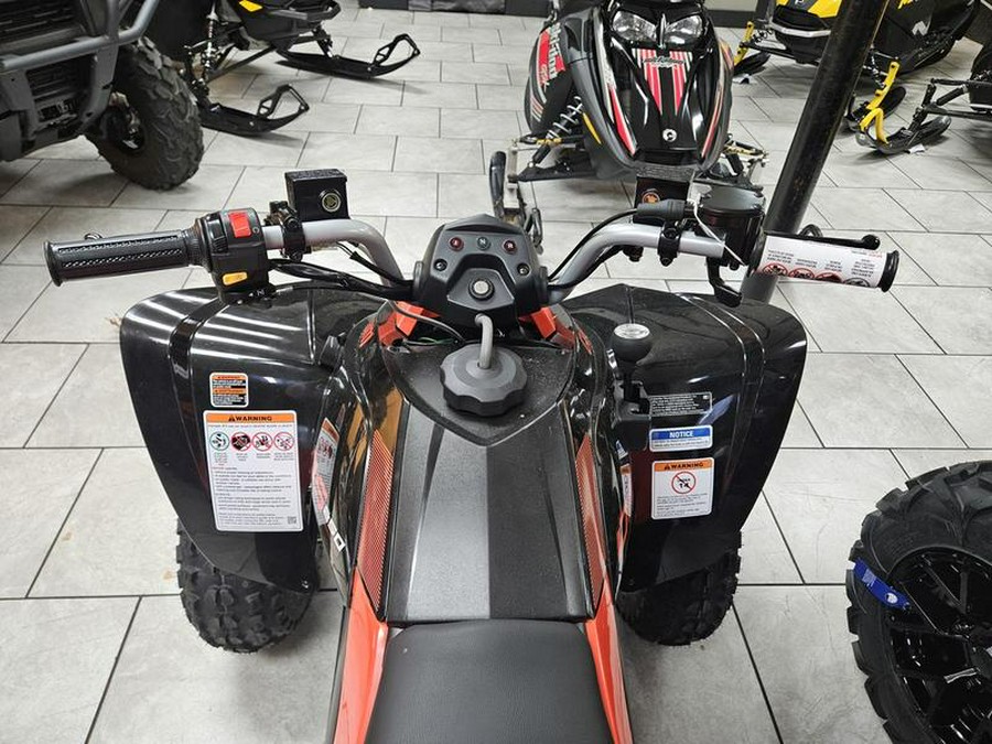 2025 Can-Am® DS 250