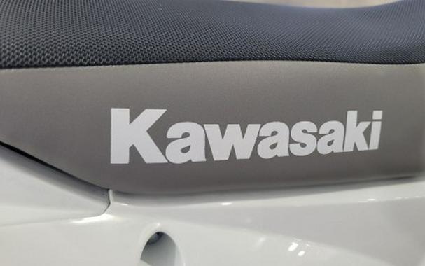 2026 Kawasaki KLX®110R
