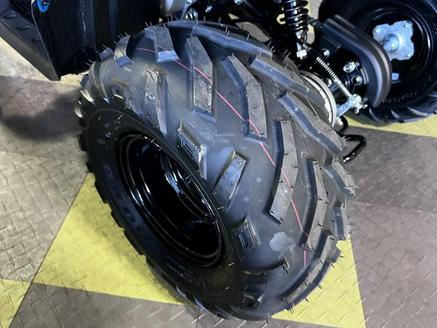 2026 Polaris Sportsman 110