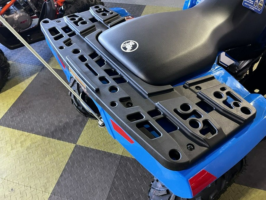 2026 Polaris Sportsman 110