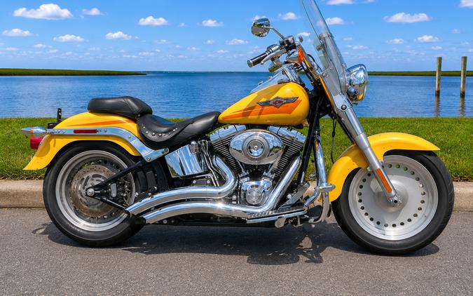 2007 Harley-Davidson FLSTF Softail® Fat Boy®