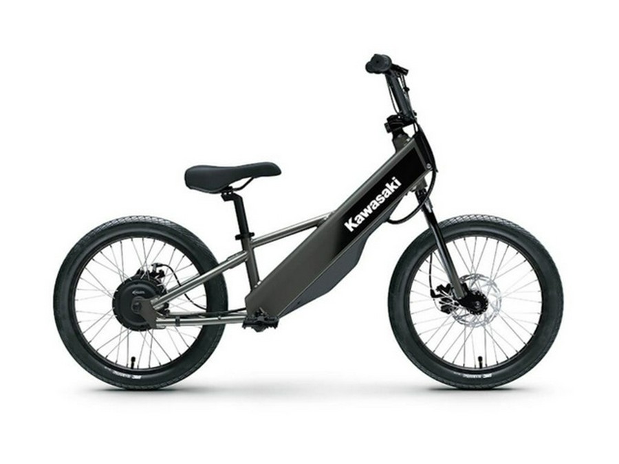 2025 Kawasaki Elektrode 20FS