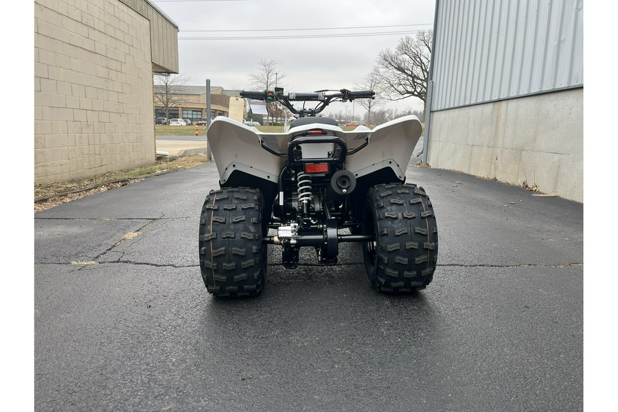 2026 Kawasaki KFX 90