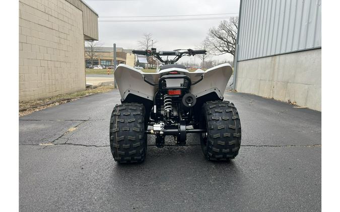 2026 Kawasaki KFX 90