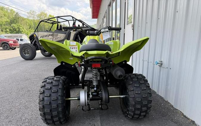 2026 Yamaha Raptor 110