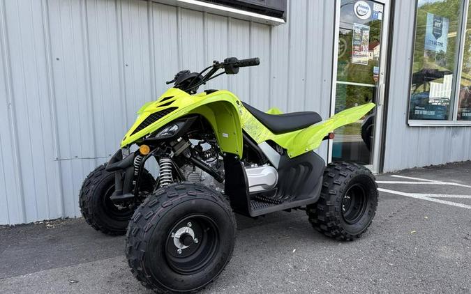 2026 Yamaha Raptor 110