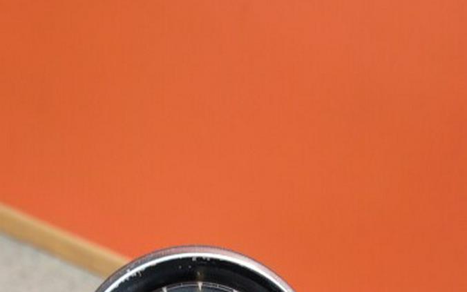 XL 883N 2015 Iron 883™