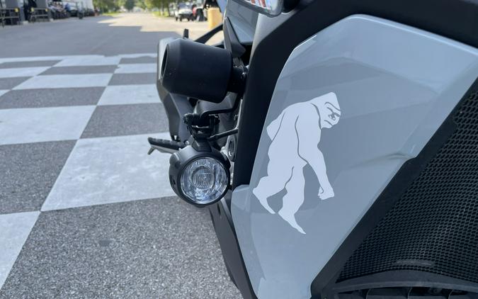 2020 BMW S 1000 XR