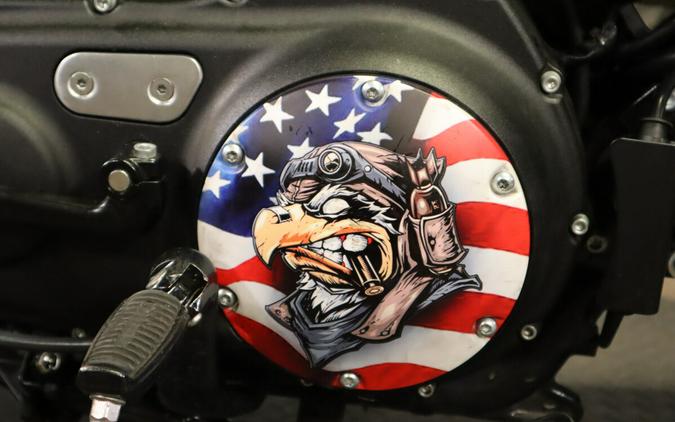 2017 Harley-Davidson Iron 883