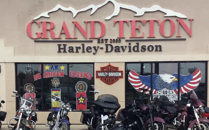 2019 HARLEY-DAVIDSON SOFTAIL SLIM