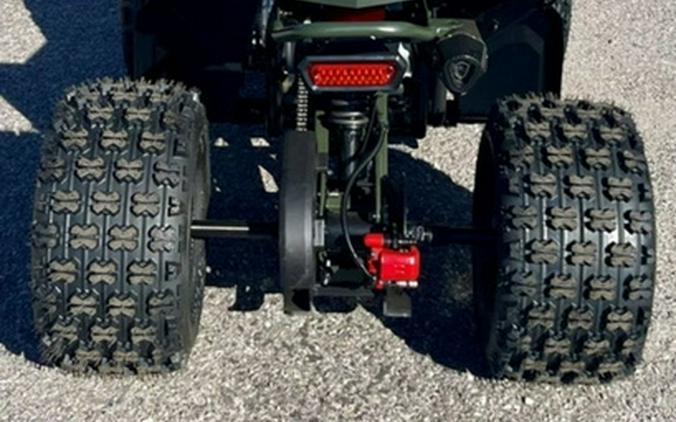2026 DENAGO TRAILHAWK10FI