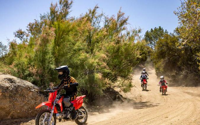 2026 Honda CRF 110F