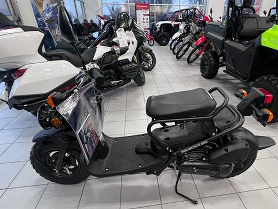 2024 Honda Ruckus